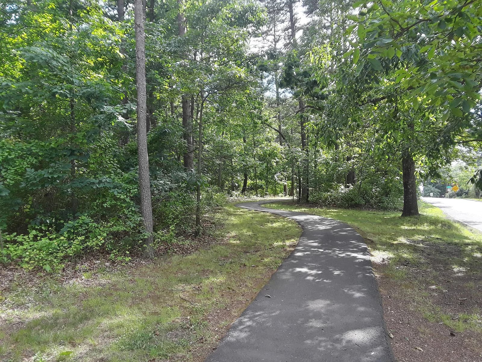 A paved walking trail through trees in Freedom Hill Park, Tysons