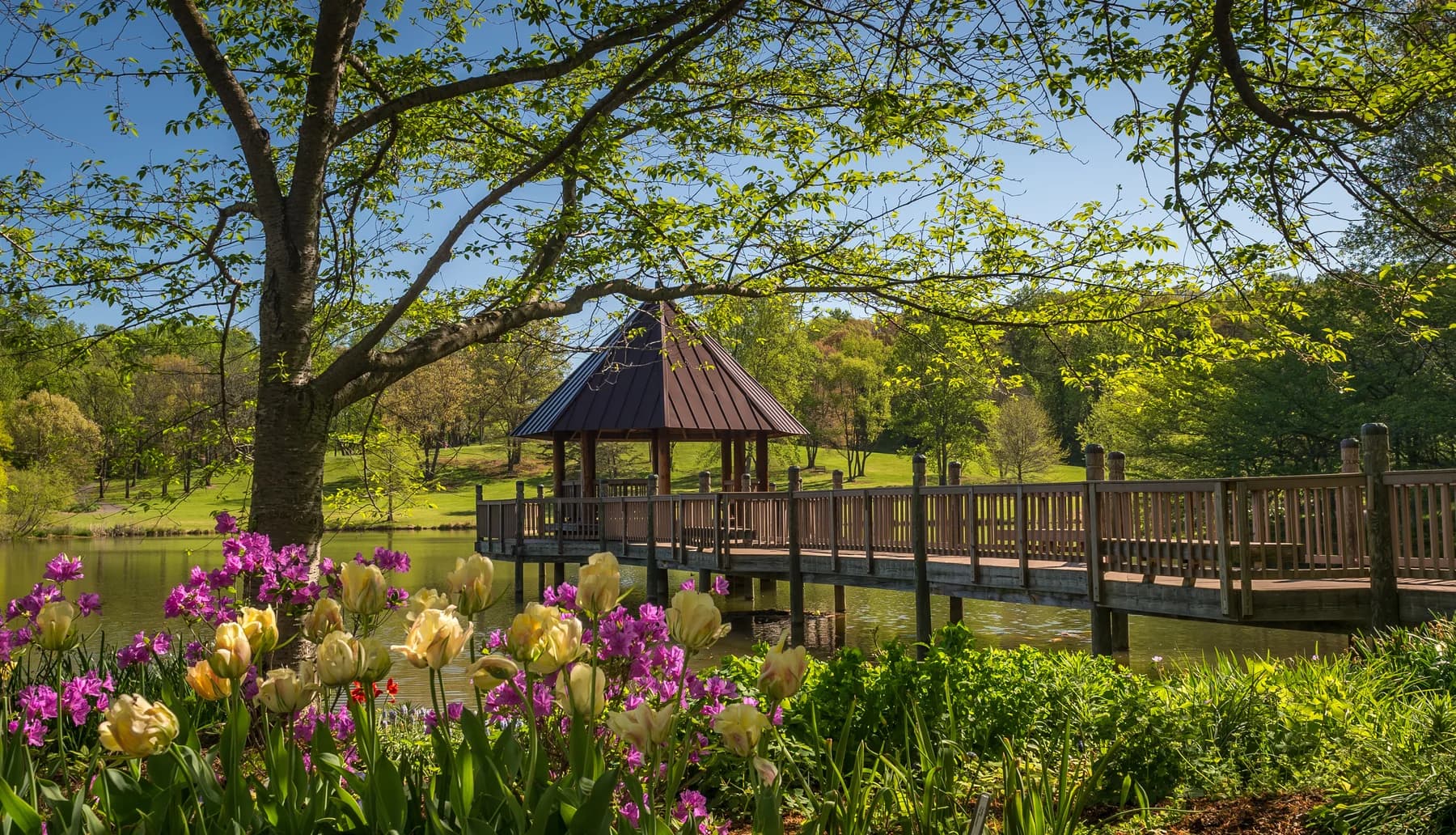 Flowering garden beds and a lakeside gazebo at Meadowlark Botanical Gardens in the Vienna area