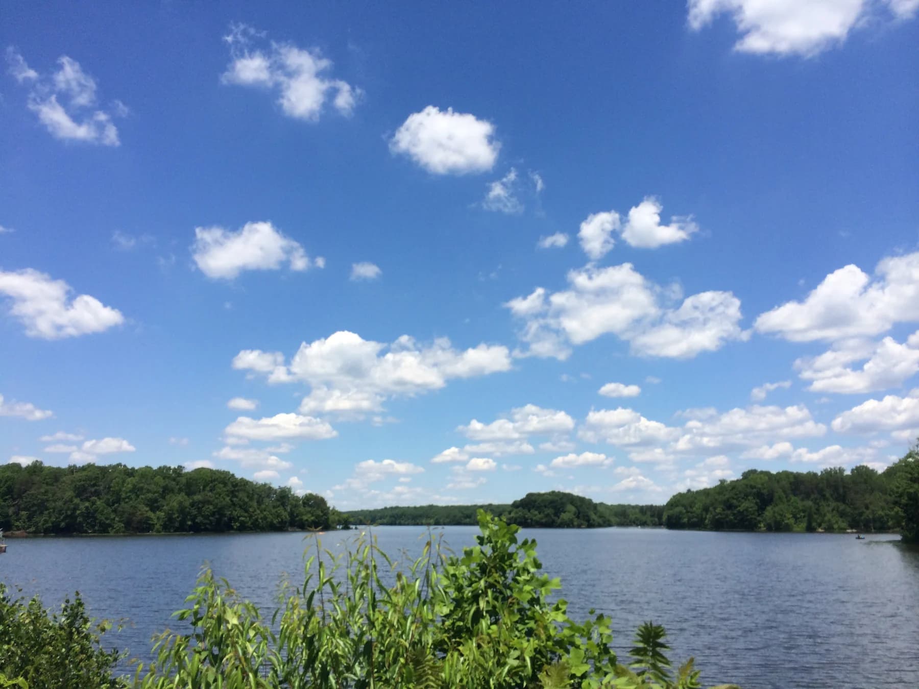 Open water and green shoreline beneath summer clouds at Burke Lake Park in Fairfax Station